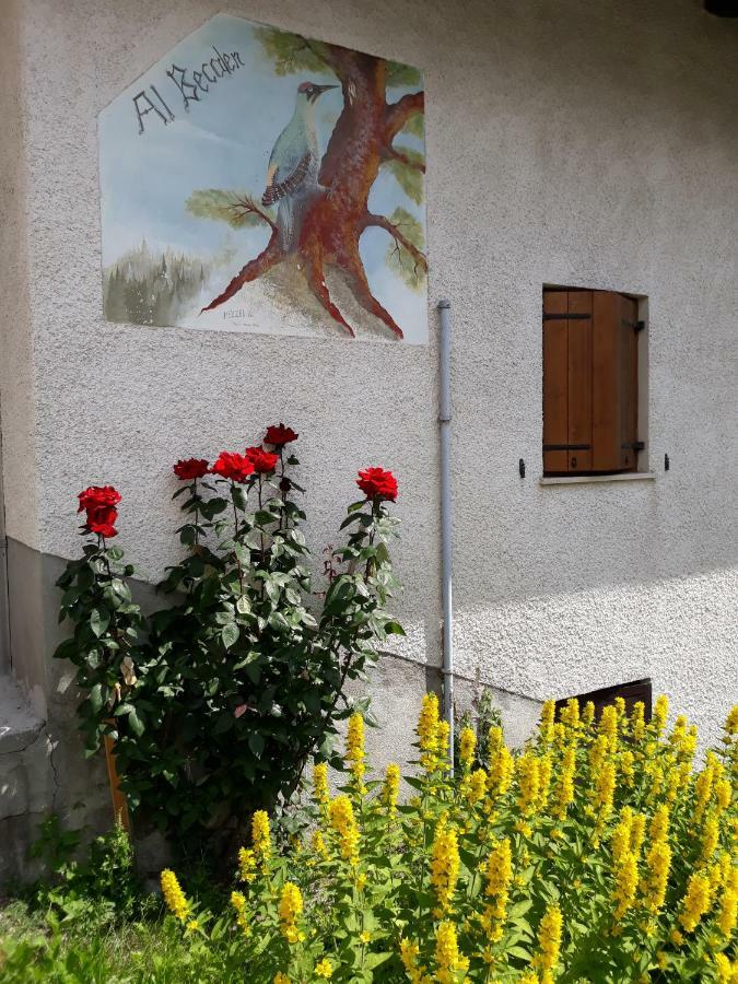 Al Becalen Διαμέρισμα Livinallongo Del Col Di Lana Εξωτερικό φωτογραφία
